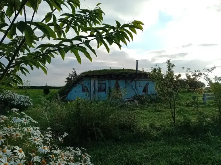 IMG-20260430-WA0005